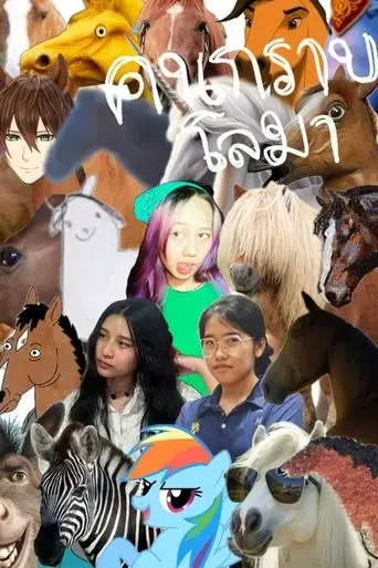dolphin-in-a-nutshell-2025