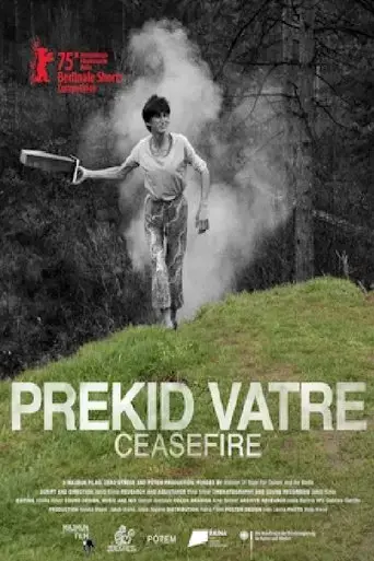 ceasefire-2025