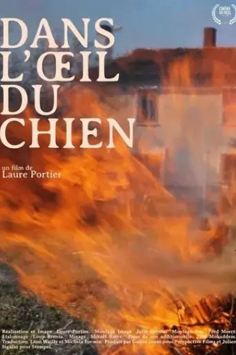 dans-l-oeil-du-chien-2019