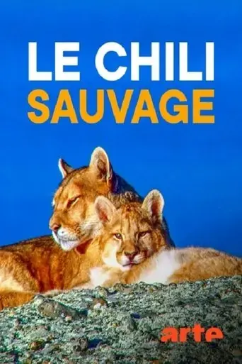 le-chili-sauvage-2017