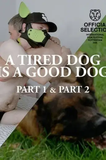 a-tired-dog-is-a-good-dog-parts-1-2-2025
