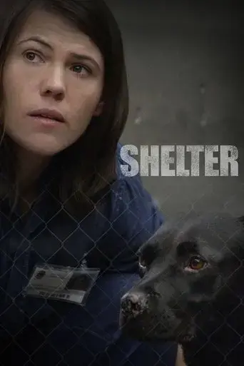 shelter-2015