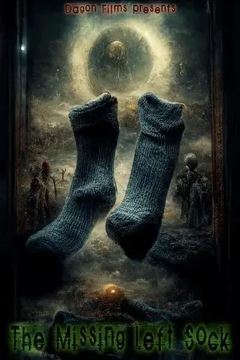 the-missing-left-sock-2022