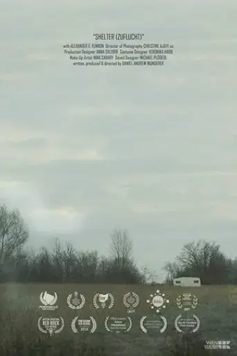shelter-2017