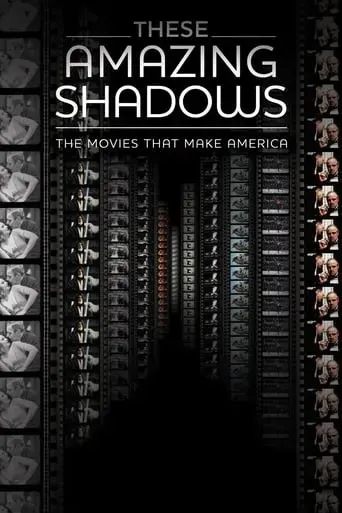 these-amazing-shadows-2011