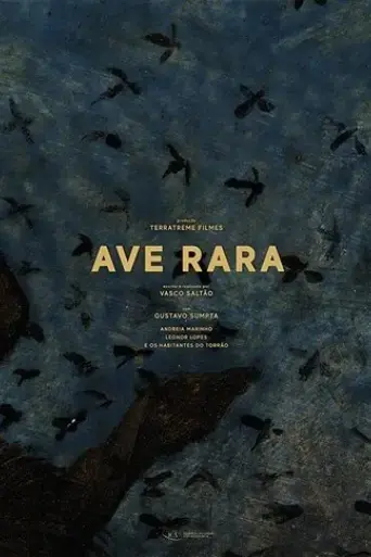 ave-rara-2019