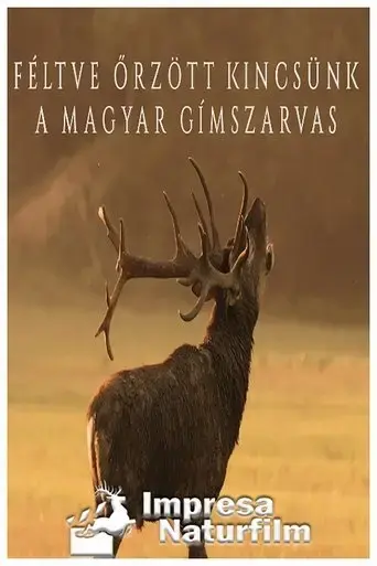feltve-orzott-kincsunk-a-magyar-gimszarvas-2020