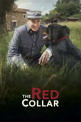 the-red-collar-2018