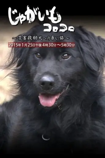 jagaimo-korokoro-saigai-kyujo-inu-e-no-nagai-tabi-2015