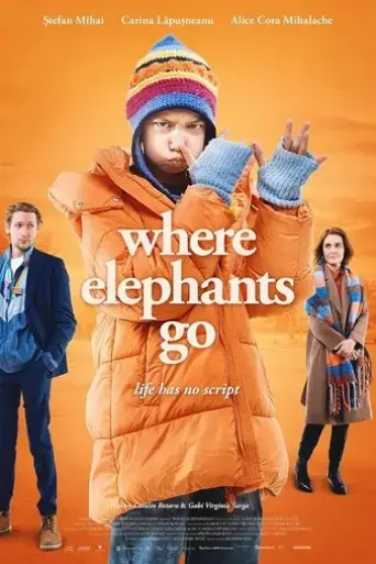where-elephants-go-2024