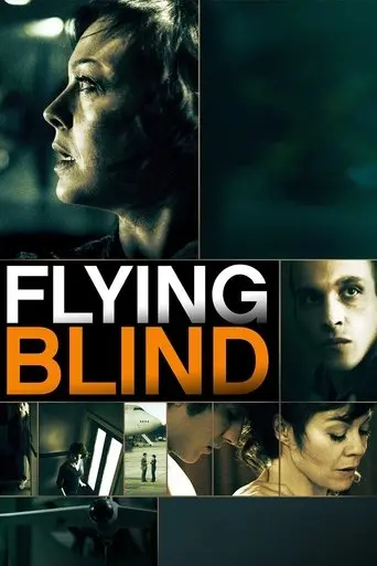 flying-blind-2013
