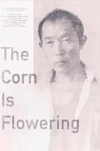the-corn-is-flowering-2015