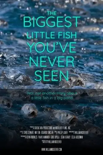 the-biggest-little-fish-you-ve-never-seen-2024