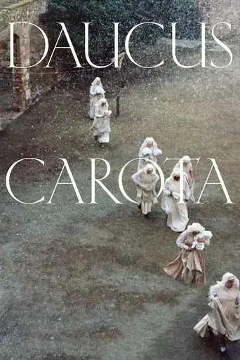 daucus-carota-2020