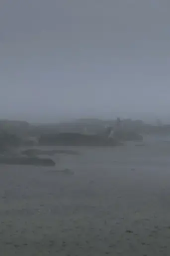 the-fog-has-covered-the-moment-again-2021