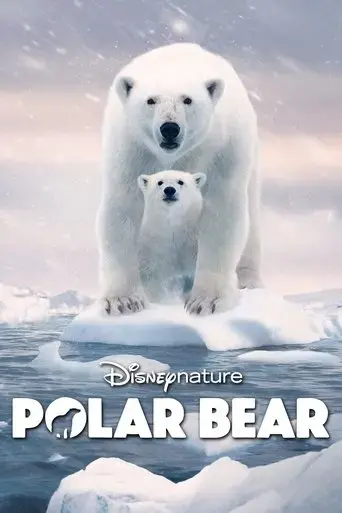polar-bear-2022