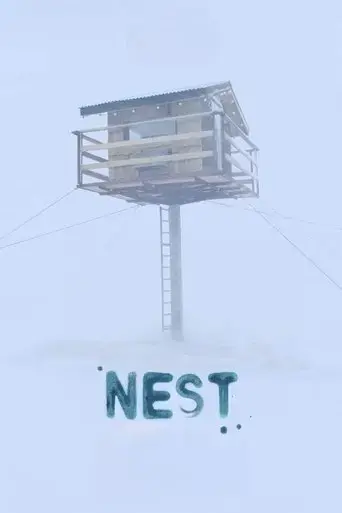 nest-2022