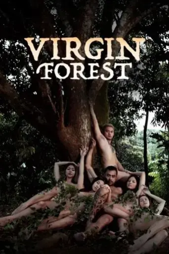 virgin-forest-2022