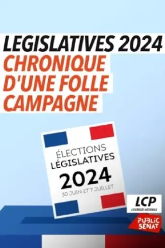 legislatives-2024-chronique-d-une-folle-campagne-2024