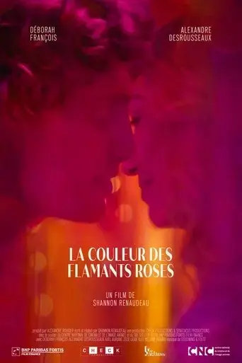 la-couleur-des-flamants-roses-2025