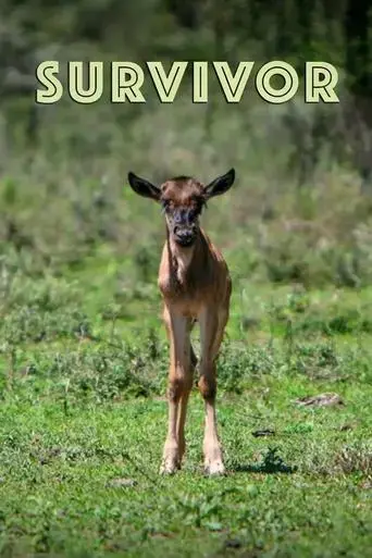 survivor-2022