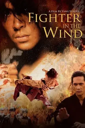 fighter-in-the-wind-2004