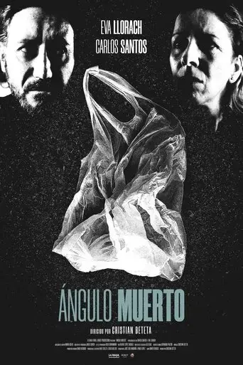 angulo-muerto-2024