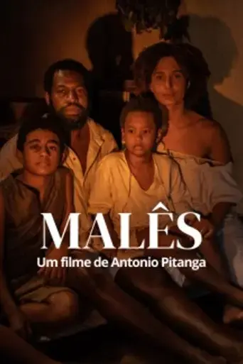 males-2025