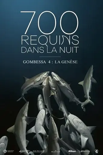 700-sharks-gombessa-4-genesis-2016