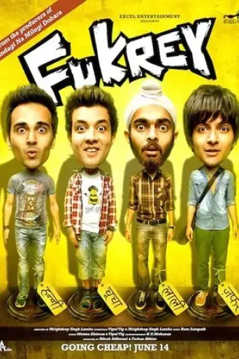 fukrey-2013