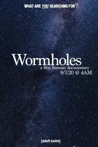 wormholes-2020