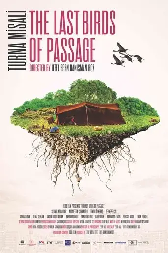 the-last-birds-of-passage-2021