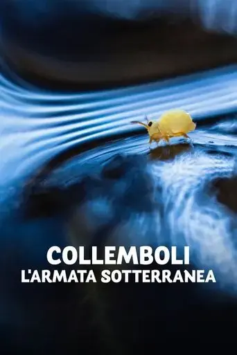 collemboli-l-armata-sotterranea-2023