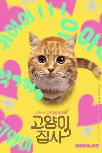 our-cat-2020