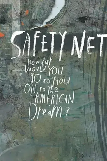 safety-net-2017