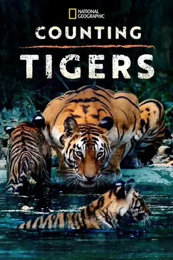 counting-tigers-2019
