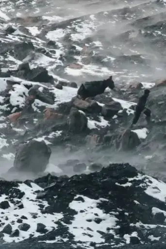 afgan-coal-2018