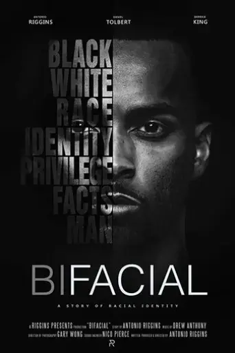 bifacial-2017