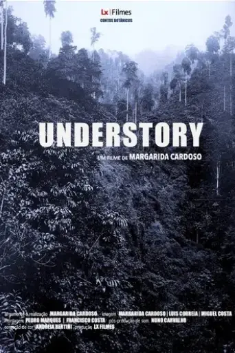 understory-2019