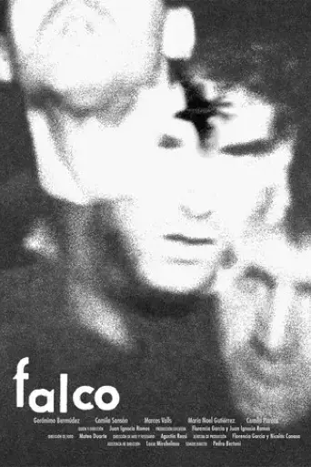 falco-2024