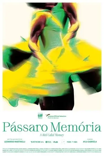 passaro-memoria-2023