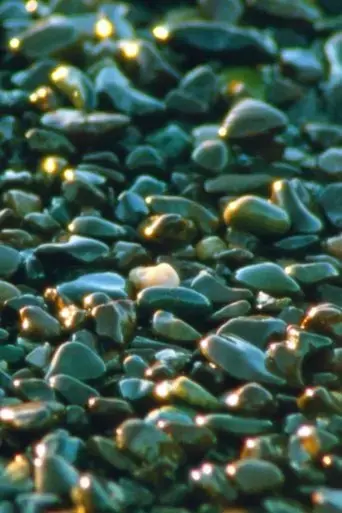 jasper-beach-and-the-salt-marsh-2023