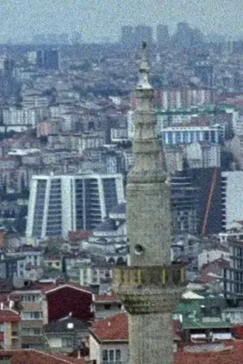 belgrade-forest-incident-and-what-happened-to-mr-k-2021
