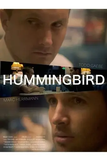 hummingbird-2019