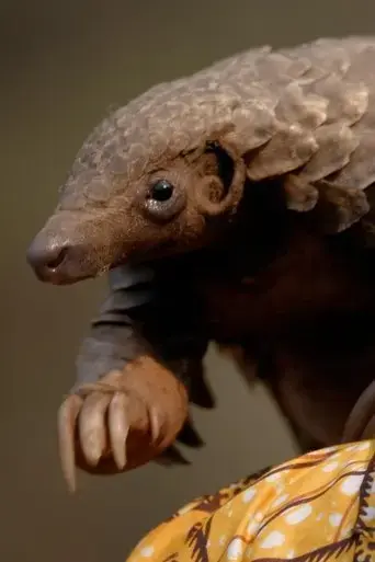 wild-hope-pangolin-protectors-2025