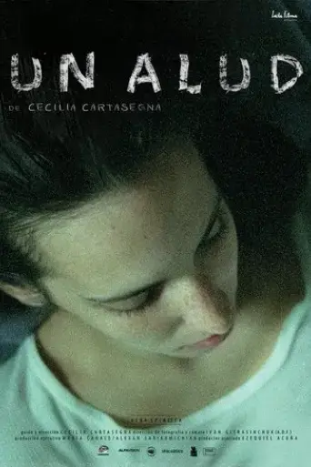 un-alud-2017