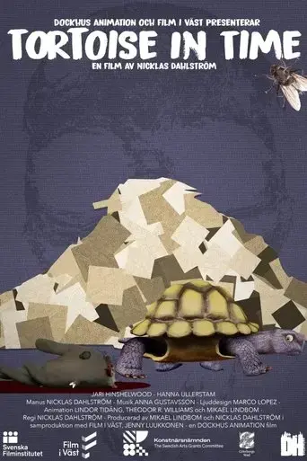 tortoise-in-time-2022