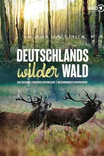 das-geheime-leben-der-rothirsche-2020