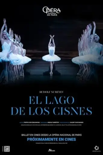 swan-lake-2016