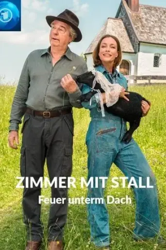 zimmer-mit-stall-feuer-unterm-dach-2020